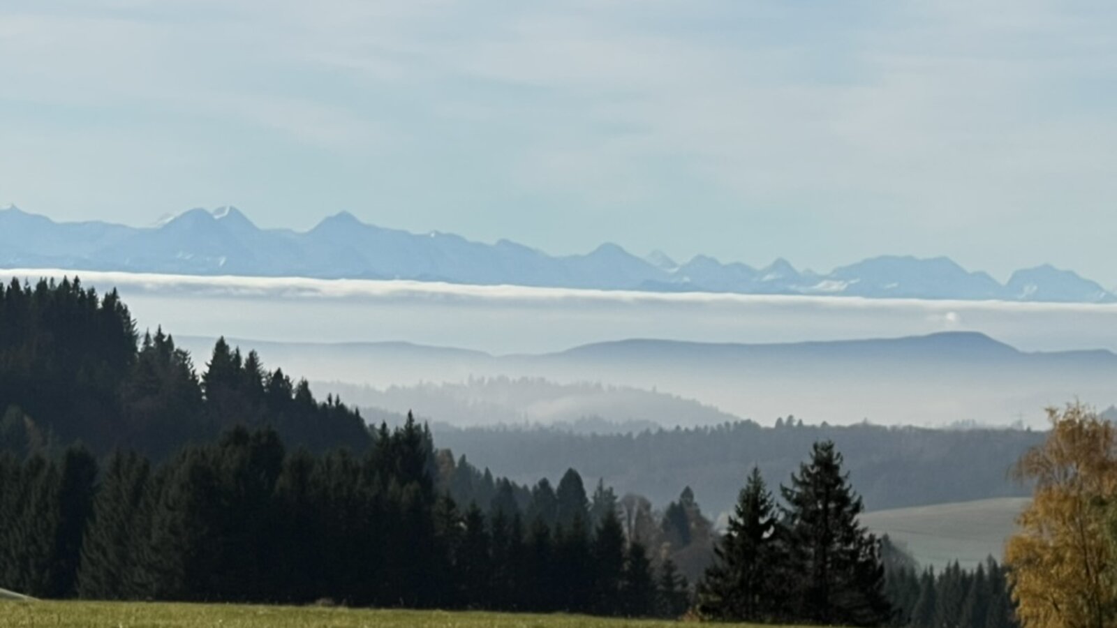 Schwarzwald Panorama mit Alpenblick bei Todtmoos